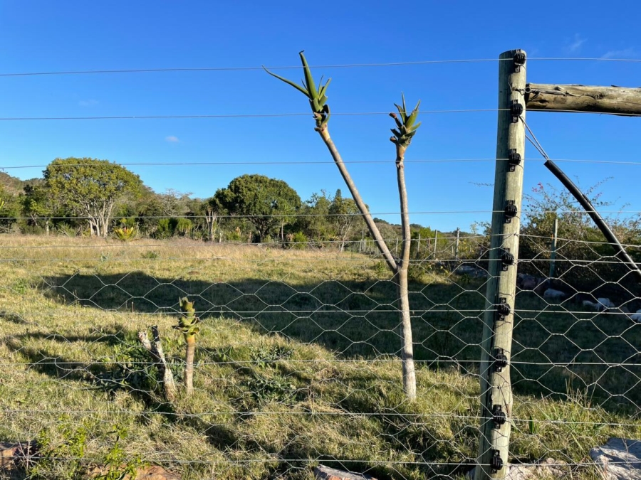 0 Bedroom Property for Sale in Bathurst Eastern Cape